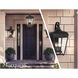 Marquee Outdoor Wall Mount in Sand Coal, Great Outdoors